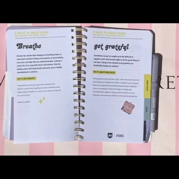 VS PINK Wellness Journal NEW LIMITED EDITION - Picture 2 of 7